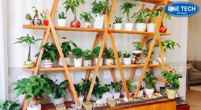 Không gian trang trí cây xanh với kệ trưng bày cây cảnh OneTech tăng tính thẩm mỹ