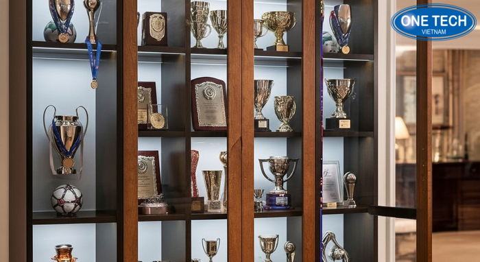 Tủ gỗ trưng bày cúp và huy chương Tủ gỗ trưng bày cúp và huy chương phong cách sang trọng